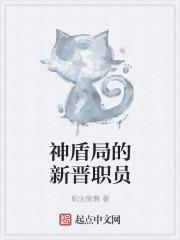 神盾局前身 神盾局前身