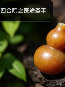 四合院神医 四合院神医