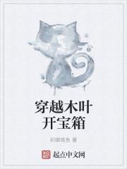 木叶之宝箱系统 木叶之宝箱系统
