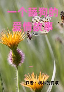 舔狗事例