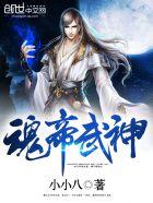 魂帝武神免费阅读
