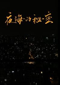 夜的海洋 夜的海洋