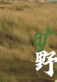 旷野天低树 旷野天低树