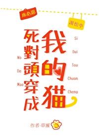 死对头穿成我的猫TXT 死对头穿成我的猫TXT
