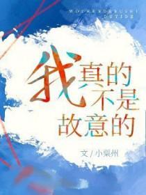 我真的不是故意的原唱 我真的不是故意的原唱