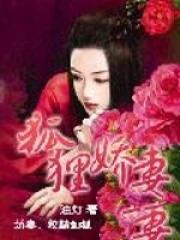 狐狸免费阅读 狐狸免费阅读