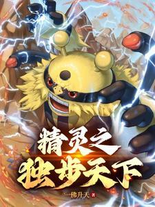 宝可梦的神 宝可梦的神