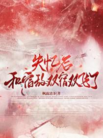 失忆后我和宿敌he了by风辞雾隐