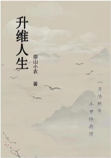 升维科技 升维科技