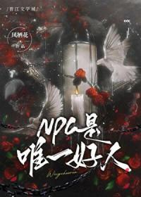 谁是npc