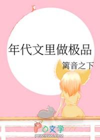 年代文中当极品 年代文中当极品