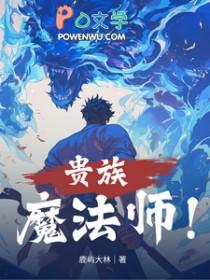 贵族魔法师女主有几个