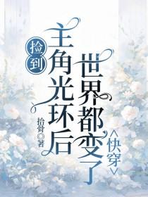 主角捡到一张光盘的