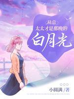 陆太太很甜全部