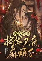 夫人救命将军又有麻烦了主要人物