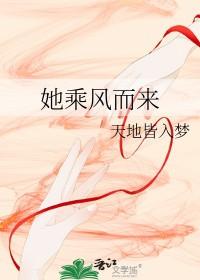 乘风而来 歌词 乘风而来 歌词