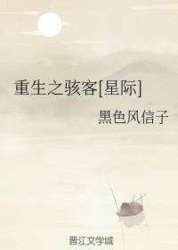 重生之骇客 重生之骇客