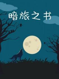 暗夜旅人
