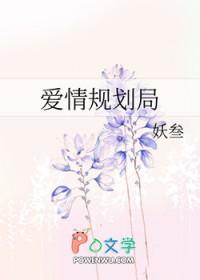 爱情规划局gltxt