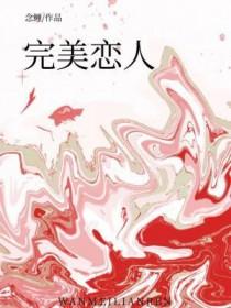 完美恋人计划