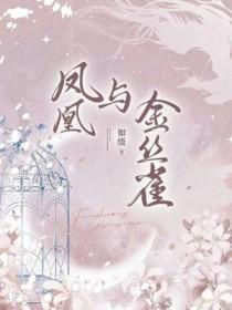月季金凤凰和金丝雀是同一个品种吗