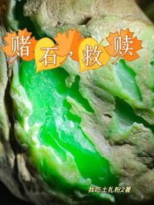 毛料是什么意思? 毛料是什么意思?