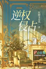 逆权占有原则