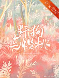 野狗与樱桃神奇的猫咪