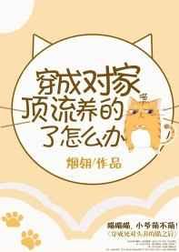 穿成对家顶流的猫了怎么办 穿成对家顶流的猫了怎么办