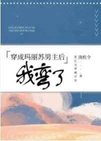 穿成玛丽苏文男主后我弯了番外 穿成玛丽苏文男主后我弯了番外
