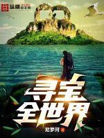 寻宝全世界txt