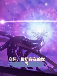 崩坏世界之我 崩坏世界之我