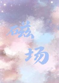 磁场中某点的磁感应强度B与磁导率 磁场中某点的磁感应强度B与磁导率