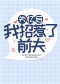 失忆后我招惹了前夫格格党 失忆后我招惹了前夫格格党