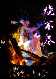 烧不尽bytxt