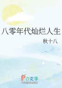 灿烂的八零年代