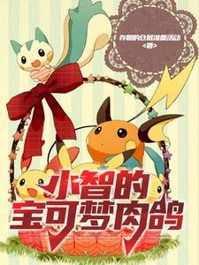 宝可梦all小智 宝可梦all小智