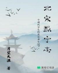 熙宁是什么朝代的年号 熙宁是什么朝代的年号
