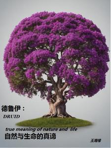 德鲁伊是什么意思? 德鲁伊是什么意思?