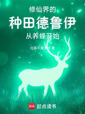 德鲁伊的梗 德鲁伊的梗