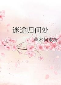 迷途归返歌词