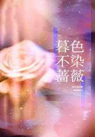 暮色染发