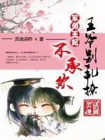 王爷的军师男妃169章 王爷的军师男妃169章
