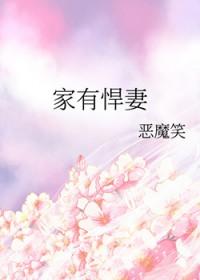 家有悍妻怎么破在线阅读免费完整版 家有悍妻怎么破在线阅读免费完整版
