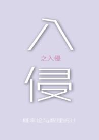 入侵者意思
