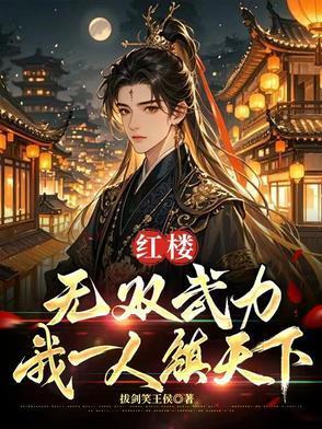 红楼无双武力我一人镇天下免费阅读 红楼无双武力我一人镇天下免费阅读