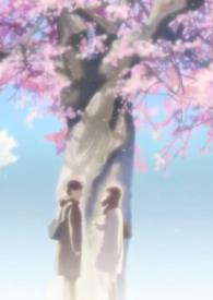 播放樱花树下百科 播放樱花树下百科