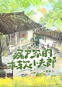 屠户家的小夫郎 屠户家的小夫郎