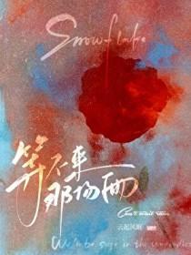 智商 智商